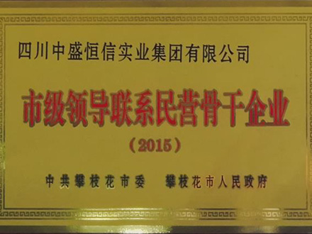 2015-市级领导联系民营骨干企业