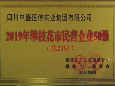 2019-攀枝花市民营企业50强